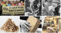 Compilation of images of bio-based materials and mothers on the move-the bronx nonprofit.